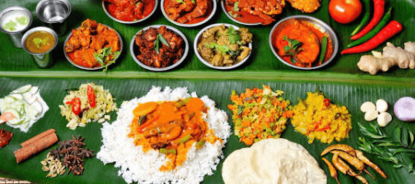 meal plate 5 (1)
